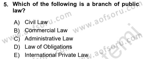 Introduction to Law Dersi Ara Sınavı Deneme Sınav Soruları 5. Soru
