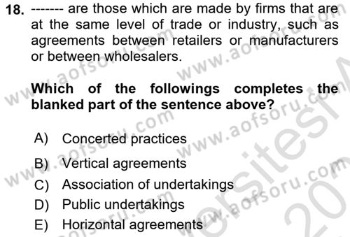 Introduction to Law Dersi 2022 - 2023 Yılı Yaz Okulu Sınav Soruları 18. Soru