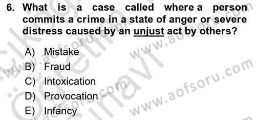 Introduction to Law Dersi 2022 - 2023 Yılı Yaz Okulu Sınav Soruları 6. Soru