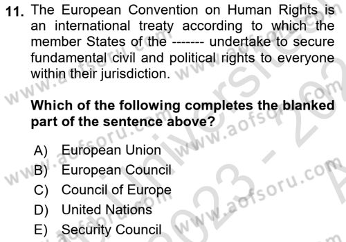Introduction to Law Dersi Ara Sınavı Deneme Sınav Soruları 11. Soru
