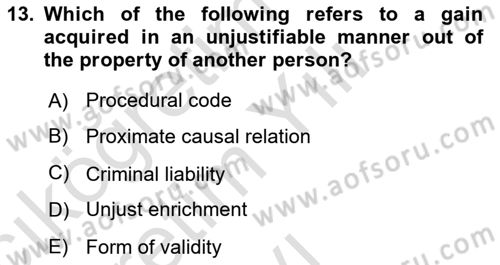 Introduction to Law Dersi 2023 - 2024 Yılı Yaz Okulu Sınav Soruları 13. Soru