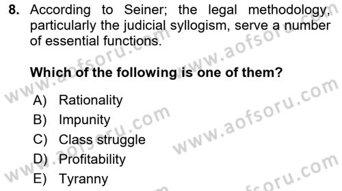 Introduction to Law Dersi 2024 - 2025 Yılı (Vize) Ara Sınav Soruları 8. Soru