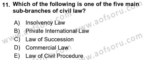 Introduction to Law Dersi 2024 - 2025 Yılı (Final) Dönem Sonu Sınav Soruları 11. Soru