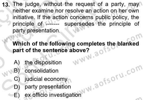 Introduction to Law Dersi 2024 - 2025 Yılı (Final) Dönem Sonu Sınav Soruları 13. Soru