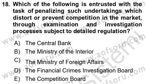 Introduction to Law Dersi 2024 - 2025 Yılı (Final) Dönem Sonu Sınav Soruları 18. Soru