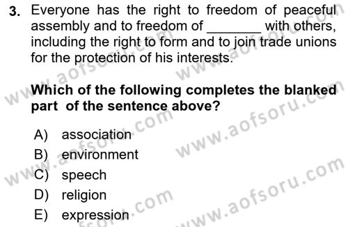 Introduction to Law Dersi 2024 - 2025 Yılı (Final) Dönem Sonu Sınav Soruları 3. Soru