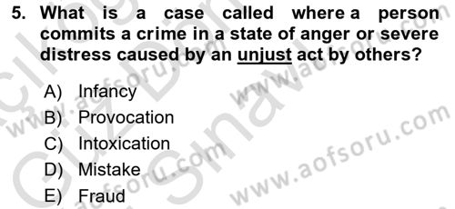 Introduction to Law Dersi 2024 - 2025 Yılı (Final) Dönem Sonu Sınav Soruları 5. Soru