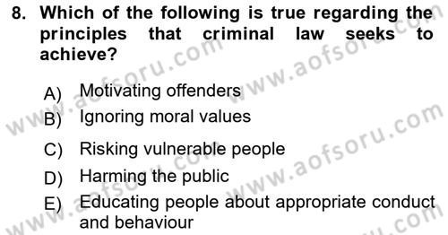 Introduction to Law Dersi 2024 - 2025 Yılı (Final) Dönem Sonu Sınav Soruları 8. Soru