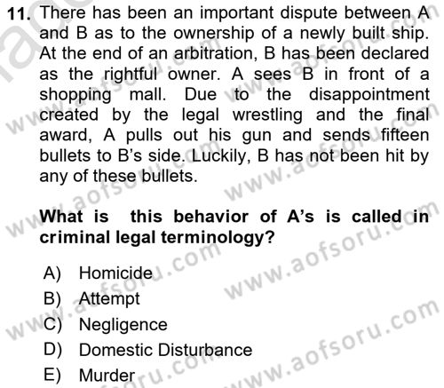 Introduction to Law Dersi 2024 - 2025 Yılı Yaz Okulu Sınav Soruları 11. Soru