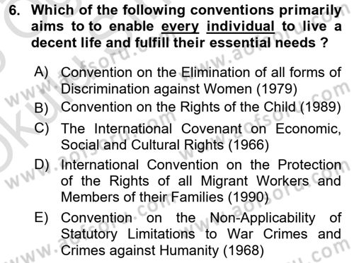 Introduction to Law Dersi 2024 - 2025 Yılı Yaz Okulu Sınav Soruları 6. Soru