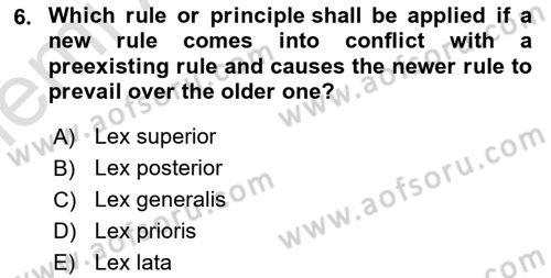 Introduction to Law Dersi 2025 - 2026 Yılı (Vize) Ara Sınav Soruları 6. Soru