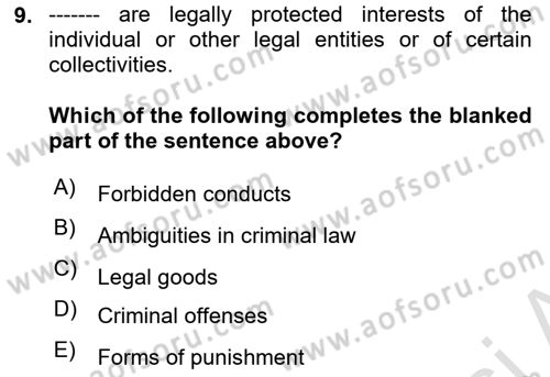 Introduction to Law Dersi 2025 - 2026 Yılı Yaz Okulu Sınav Soruları 9. Soru