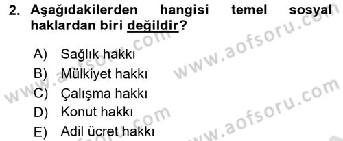Anayasa 2 Dersi 2021 - 2022 Yılı Yaz Okulu Sınav Soruları 2. Soru
