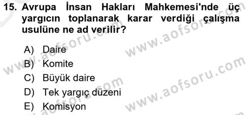 İnsan Hakları ve Kamu Özgürlükleri Dersi 2015 - 2016 Yılı Tek Ders Sınav Soruları 15. Soru