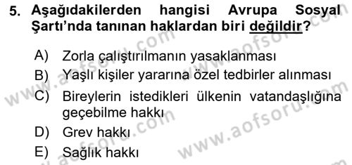 İnsan Hakları ve Kamu Özgürlükleri Dersi 2015 - 2016 Yılı Tek Ders Sınav Soruları 5. Soru