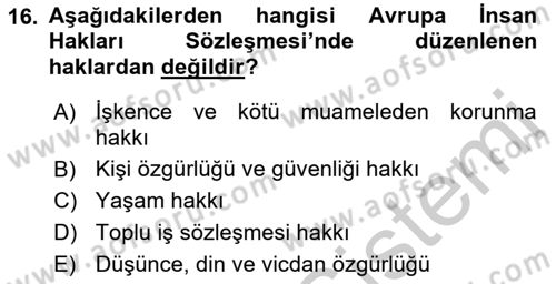 İnsan Hakları ve Kamu Özgürlükleri Dersi 2016 - 2017 Yılı 3 Ders Sınav Soruları 16. Soru