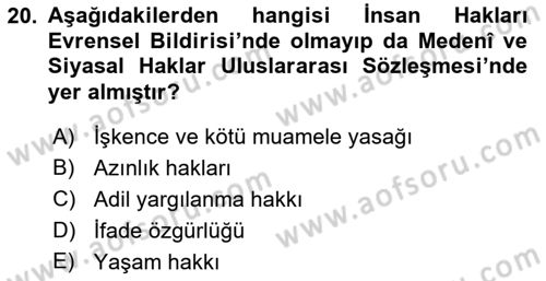 İnsan Hakları ve Kamu Özgürlükleri Dersi 2016 - 2017 Yılı 3 Ders Sınav Soruları 20. Soru