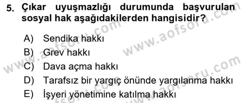 İnsan Hakları ve Kamu Özgürlükleri Dersi 2016 - 2017 Yılı 3 Ders Sınav Soruları 5. Soru