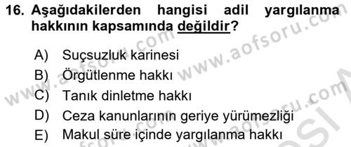 İnsan Hakları ve Kamu Özgürlükleri Dersi 2018 - 2019 Yılı 3 Ders Sınav Soruları 16. Soru