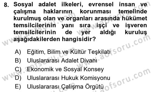 İnsan Hakları ve Kamu Özgürlükleri Dersi 2018 - 2019 Yılı 3 Ders Sınav Soruları 8. Soru