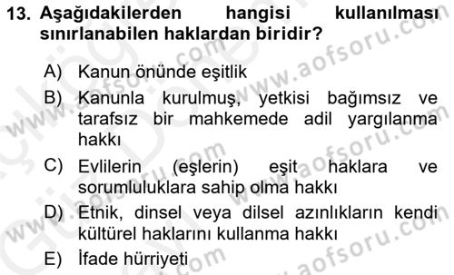 İnsan Hakları ve Kamu Özgürlükleri Dersi Ara Sınavı Deneme Sınav Soruları 13. Soru