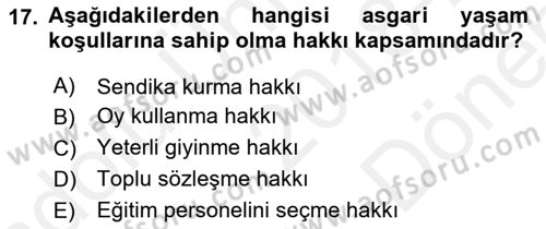 İnsan Hakları ve Kamu Özgürlükleri Dersi 2018 - 2019 Yılı (Final) Dönem Sonu Sınav Soruları 17. Soru