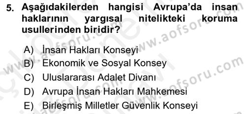 İnsan Hakları ve Kamu Özgürlükleri Dersi 2018 - 2019 Yılı (Final) Dönem Sonu Sınav Soruları 5. Soru