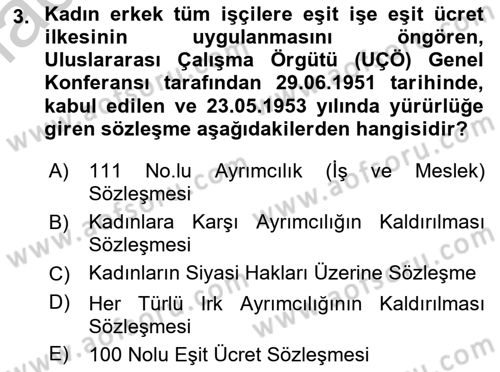 İnsan Hakları ve Kamu Özgürlükleri Dersi 2018 - 2019 Yılı Yaz Okulu Sınav Soruları 3. Soru