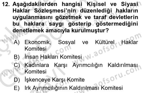İnsan Hakları ve Kamu Özgürlükleri Dersi 2019 - 2020 Yılı (Vize) Ara Sınav Soruları 12. Soru