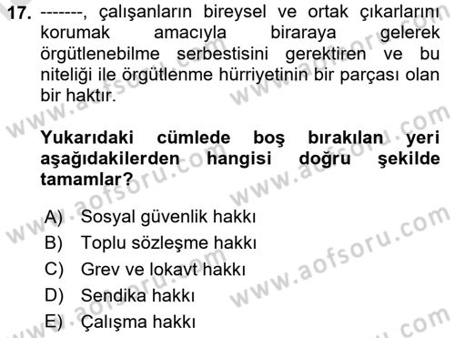 İnsan Hakları ve Kamu Özgürlükleri Dersi 2020 - 2021 Yılı Yaz Okulu Sınav Soruları 17. Soru