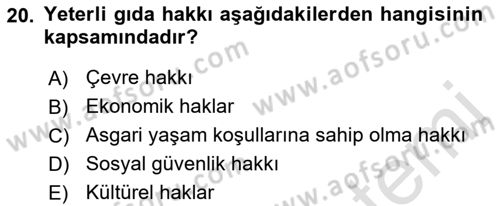 İnsan Hakları ve Kamu Özgürlükleri Dersi 2021 - 2022 Yılı (Final) Dönem Sonu Sınav Soruları 20. Soru