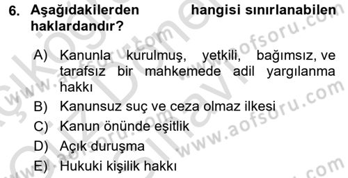 İnsan Hakları ve Kamu Özgürlükleri Dersi 2021 - 2022 Yılı (Final) Dönem Sonu Sınav Soruları 6. Soru