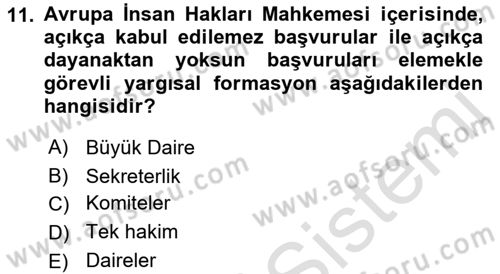 İnsan Hakları ve Kamu Özgürlükleri Dersi 2021 - 2022 Yılı Yaz Okulu Sınav Soruları 11. Soru