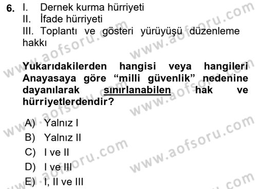İnsan Hakları ve Kamu Özgürlükleri Dersi 2021 - 2022 Yılı Yaz Okulu Sınav Soruları 6. Soru