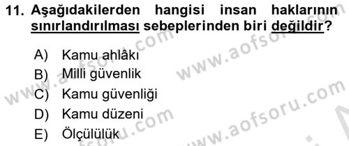 İnsan Hakları ve Kamu Özgürlükleri Dersi 2022 - 2023 Yılı (Vize) Ara Sınav Soruları 11. Soru