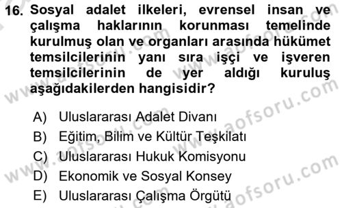 İnsan Hakları ve Kamu Özgürlükleri Dersi Ara Sınavı Deneme Sınav Soruları 16. Soru