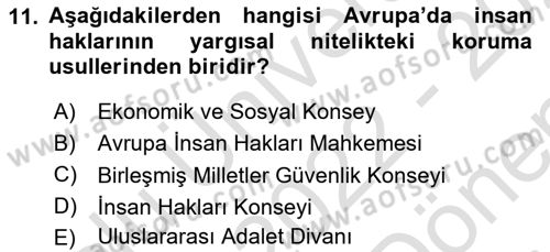 İnsan Hakları ve Kamu Özgürlükleri Dersi 2022 - 2023 Yılı (Final) Dönem Sonu Sınav Soruları 11. Soru
