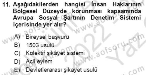 İnsan Hakları ve Kamu Özgürlükleri Dersi 2022 - 2023 Yılı Yaz Okulu Sınav Soruları 11. Soru