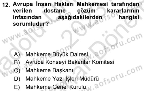 İnsan Hakları ve Kamu Özgürlükleri Dersi 2023 - 2024 Yılı (Final) Dönem Sonu Sınav Soruları 12. Soru