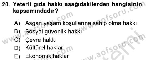 İnsan Hakları ve Kamu Özgürlükleri Dersi 2023 - 2024 Yılı (Final) Dönem Sonu Sınav Soruları 20. Soru