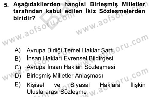 İnsan Hakları ve Kamu Özgürlükleri Dersi 2023 - 2024 Yılı (Final) Dönem Sonu Sınav Soruları 5. Soru