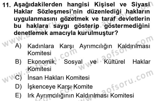 İnsan Hakları ve Kamu Özgürlükleri Dersi 2023 - 2024 Yılı Yaz Okulu Sınav Soruları 11. Soru