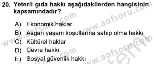 İnsan Hakları ve Kamu Özgürlükleri Dersi 2023 - 2024 Yılı Yaz Okulu Sınav Soruları 20. Soru