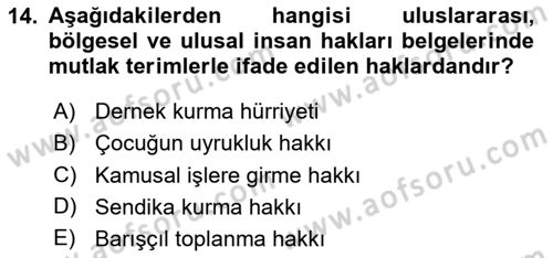İnsan Hakları ve Kamu Özgürlükleri Dersi 2024 - 2025 Yılı (Vize) Ara Sınav Soruları 14. Soru