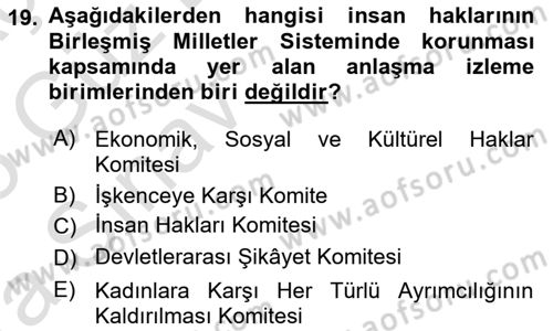 İnsan Hakları ve Kamu Özgürlükleri Dersi Ara Sınavı Deneme Sınav Soruları 19. Soru
