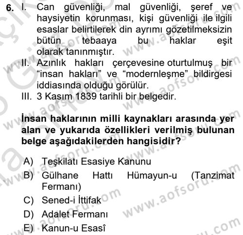 İnsan Hakları ve Kamu Özgürlükleri Dersi 2024 - 2025 Yılı (Vize) Ara Sınav Soruları 6. Soru