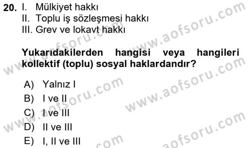 İnsan Hakları ve Kamu Özgürlükleri Dersi 2024 - 2025 Yılı (Final) Dönem Sonu Sınav Soruları 20. Soru