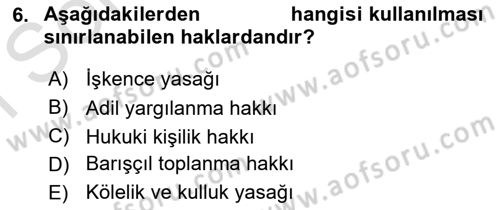 İnsan Hakları ve Kamu Özgürlükleri Dersi 2024 - 2025 Yılı (Final) Dönem Sonu Sınav Soruları 6. Soru