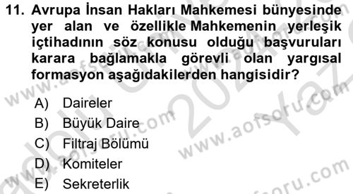 İnsan Hakları ve Kamu Özgürlükleri Dersi 2024 - 2025 Yılı Yaz Okulu Sınav Soruları 11. Soru