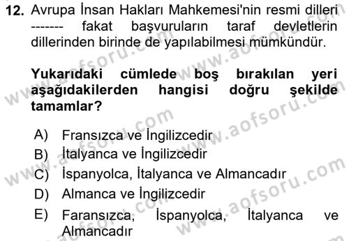 İnsan Hakları ve Kamu Özgürlükleri Dersi 2024 - 2025 Yılı Yaz Okulu Sınav Soruları 12. Soru